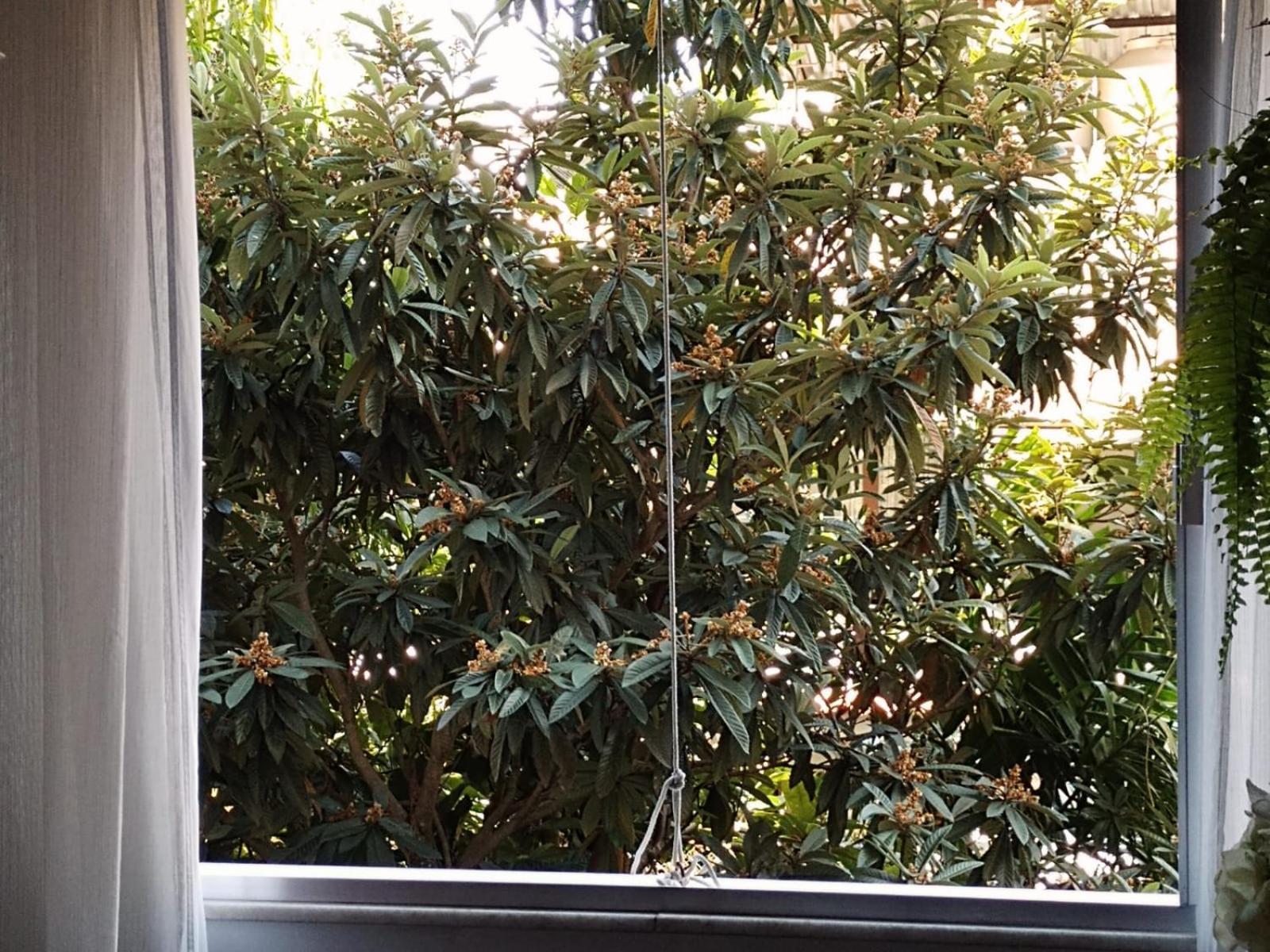 Apartamento Parque Jardim Europa Ρίο ντε Τζανέιρο Εξωτερικό φωτογραφία